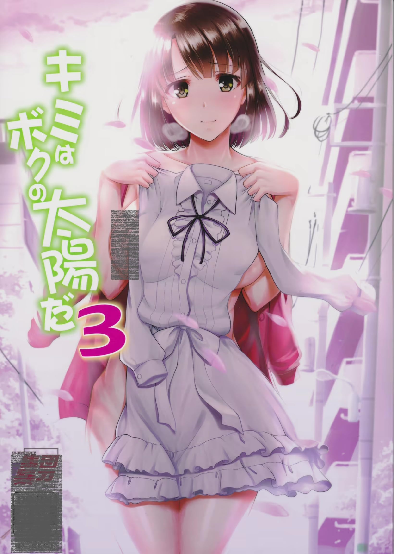 Amazon.co.jp: キミはボクの太陽だ3 集団暴力 むらさき朱 冴え